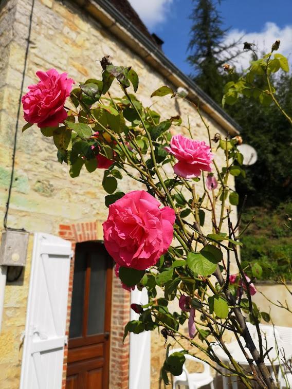 La maison de Zélia Boissieres  Exterior foto